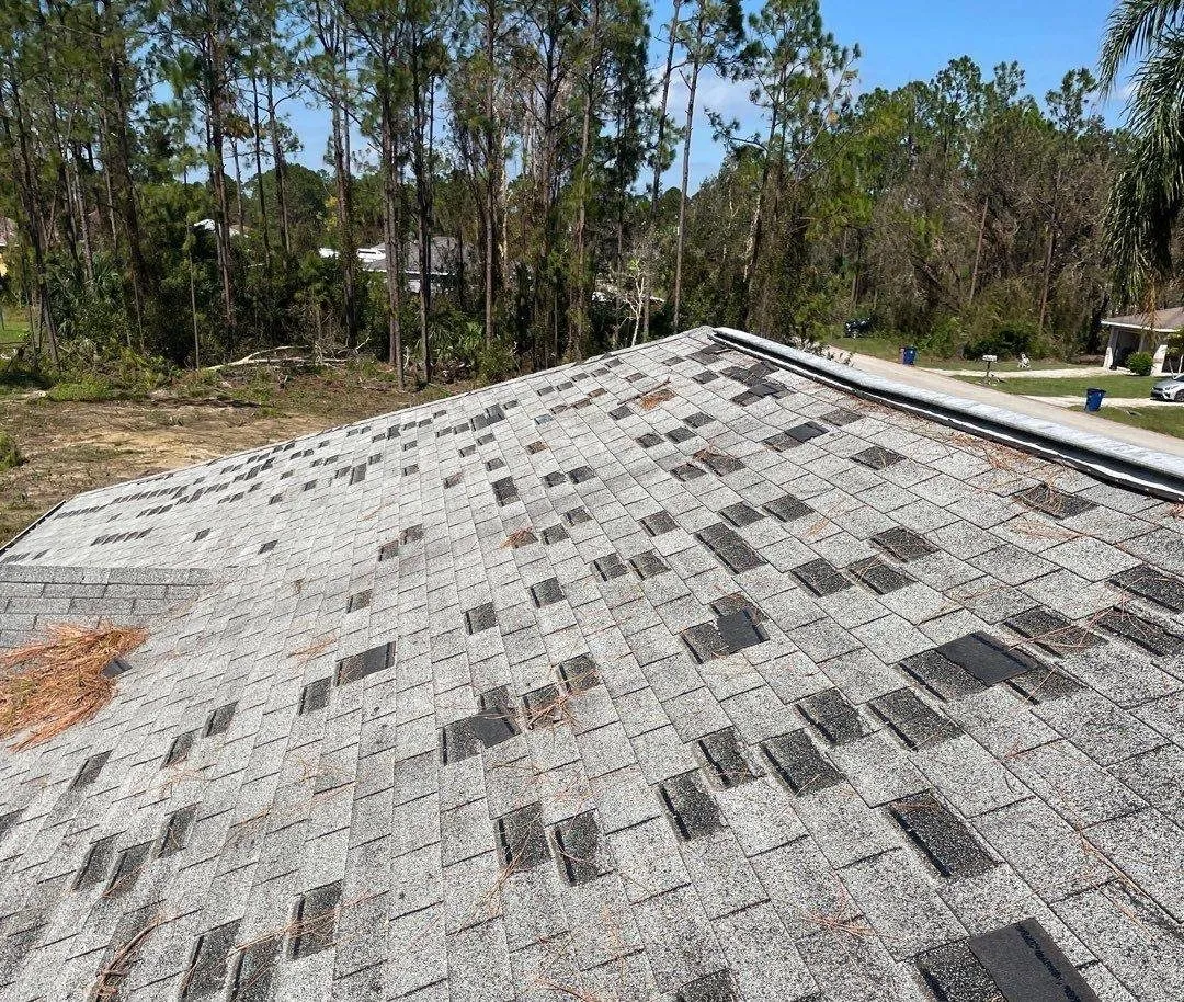 Florida shingle roof with hurricane damage